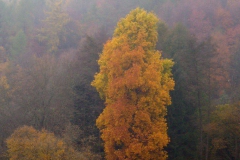 p1030941